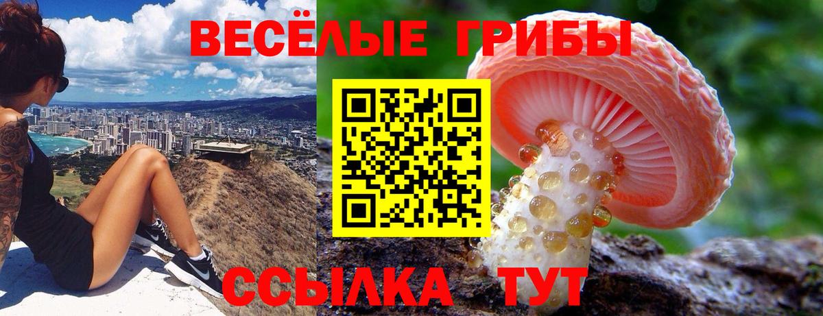 Владивосток  Псилоцибиновые грибы MAGIC MUSHROOMS  Вход с VPN 